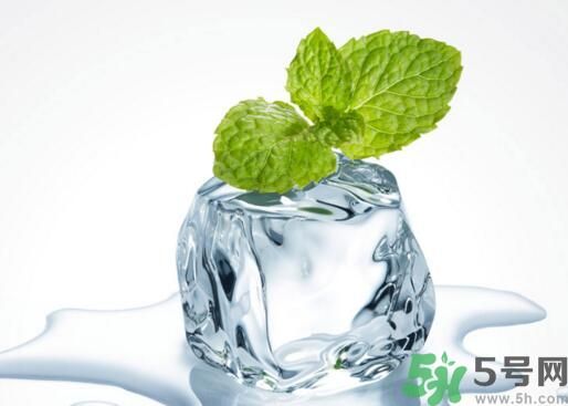 薄荷可以炒菜吃嗎？薄荷可以用來炒菜嗎？