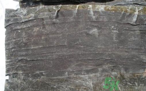 干海帶和鮮海帶哪個好?干海帶和鮮海帶的區(qū)別