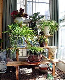 房子裝修后多久才能住？房子裝修后多久孕婦才能??？