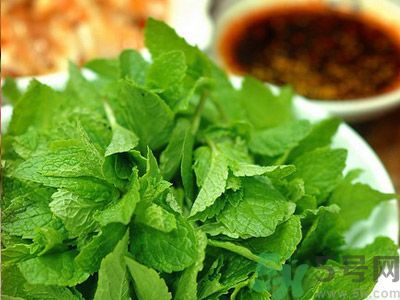 薄荷有什么功效？薄荷的攻效是什么？