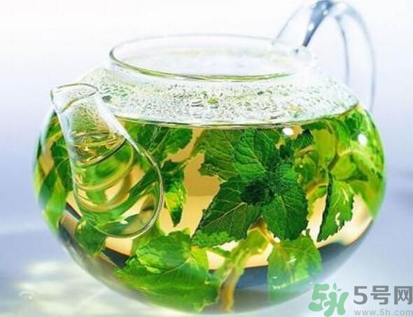 薄荷茶怎么泡好喝？薄荷茶的沖泡方法有哪些？