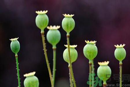 小滿做什么運(yùn)動(dòng)好？小滿運(yùn)動(dòng)要注意什么？