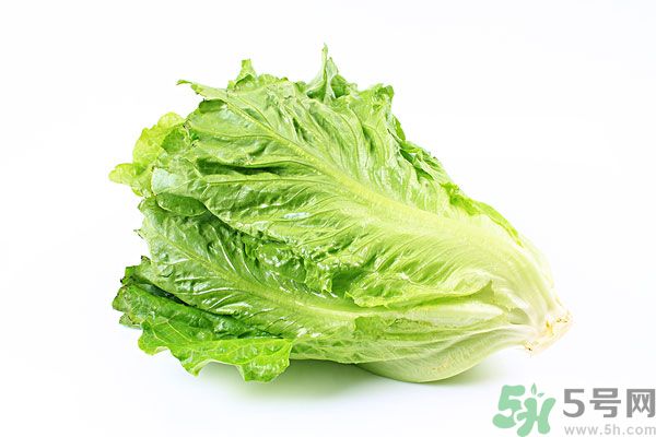 生菜在冰箱放久了能吃嗎？如何分辨生菜新不新鮮？