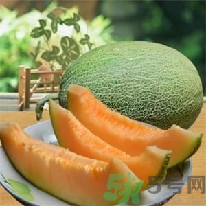 吃哈密瓜可以喝可樂(lè)嗎？喝可樂(lè)可以吃哈密瓜嗎？