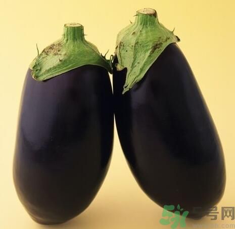 青皮茄子和紫皮茄子有什么區(qū)別？青皮茄子好還是紫皮茄子好？