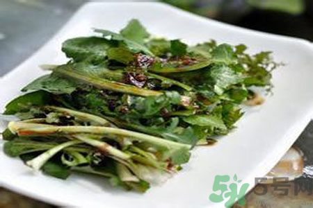 寶寶可以吃苦菜嗎？寶寶多大可以吃苦菜？