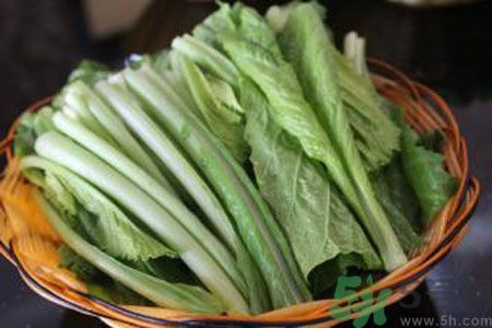 寶寶吃苦菜會拉肚子嗎？寶寶吃苦菜拉肚子了怎么辦？