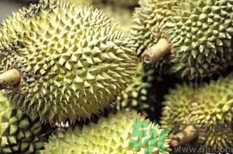 榴蓮裂開好還是不裂好?榴蓮裂開的好嗎?