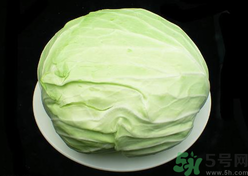 包菜榨汁要加水嗎？包菜汁怎么做？