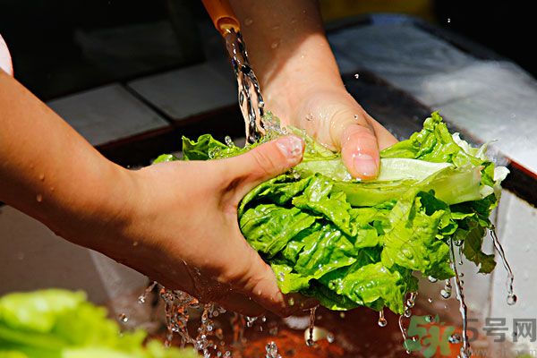 蔬菜怎么洗干凈？蔬菜怎么洗沒有寄生蟲？