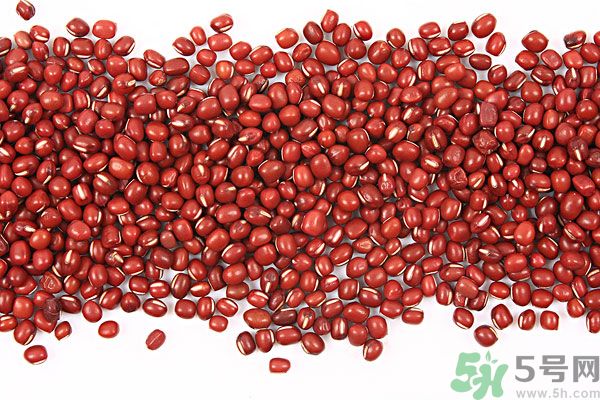 紅豆能補血嗎？紅豆有補血的作用嗎？