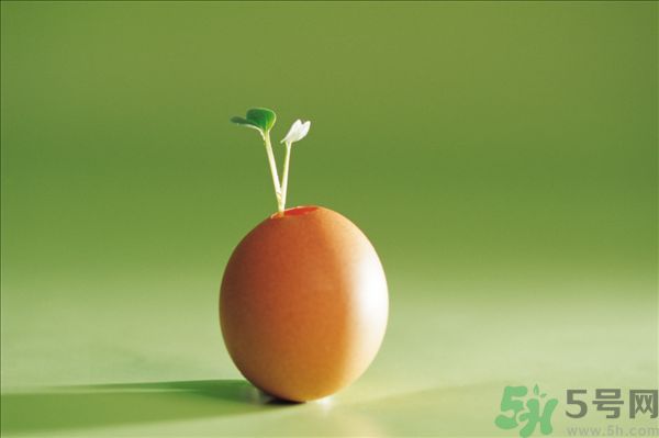 生菜和雞蛋能一起吃嗎？生菜和雞蛋一起怎么做？