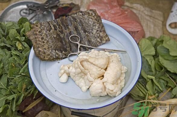 夏天吃蛇肉可以清火嗎？夏天吃蛇肉可以降火嗎？