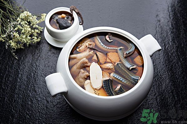 蛇肉是涼性嗎？蛇肉是涼性還是熱性？