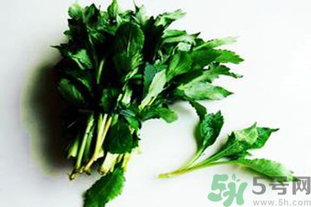 苦菜可以和蔥一起吃嗎？苦菜和蔥一起吃會怎樣？