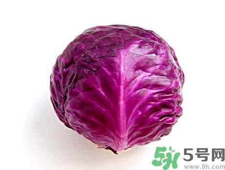 紫甘藍(lán)是涼性嗎？紫甘藍(lán)是涼性還是熱性？