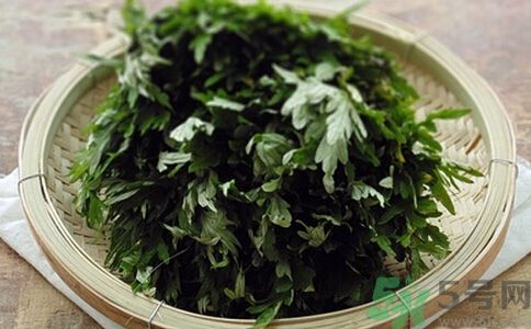艾葉可以泡水喝嗎?艾葉泡水喝的功效