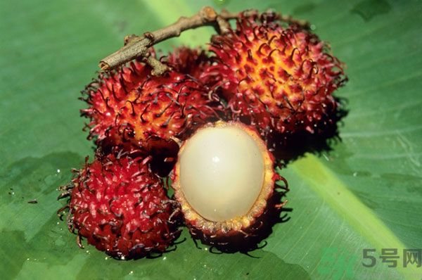 荔枝和牛奶能一起吃嗎？荔枝和牛奶一起吃好不好？