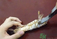 剝蝦神器怎么用？剝蝦神器在哪里買？