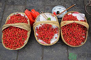 櫻桃核吞下去了怎么辦？不小心吃了櫻桃核怎么辦？