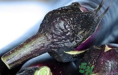 茄子把有什么功效？茄子蒂有什么功效？