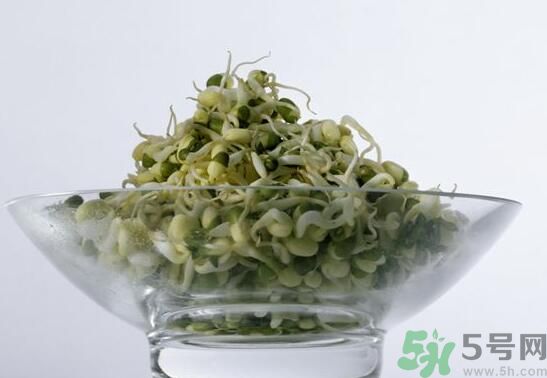 怎樣自己發(fā)綠豆芽？綠豆芽怎樣自己發(fā)？