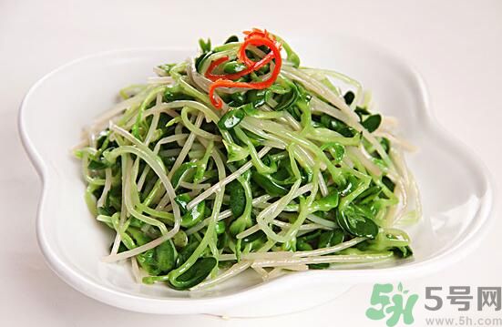 怎樣自己發(fā)綠豆芽？綠豆芽怎樣自己發(fā)？