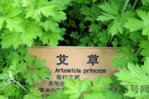 1464074974603692.jpg Image 001.jpg