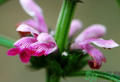 1464075191177853.jpg Image 002.jpg