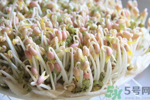 紅豆可以發(fā)豆芽嗎？紅豆芽可以吃嗎？