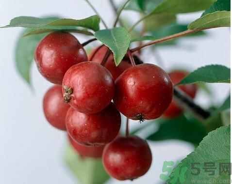 山楂可以生吃嗎？生吃山楂好嗎？
