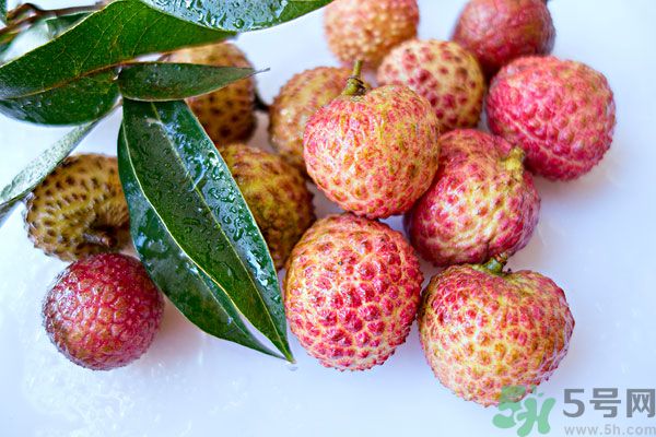 桂圓是荔枝嗎？桂圓和荔枝有什么區(qū)別？