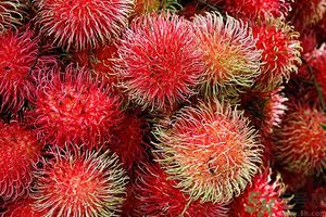 吃紅毛丹上火嗎？吃紅毛丹上火怎么辦？