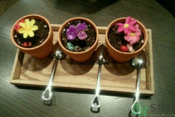 盆栽冰淇淋哪里買？盆栽冰淇淋怎么做？