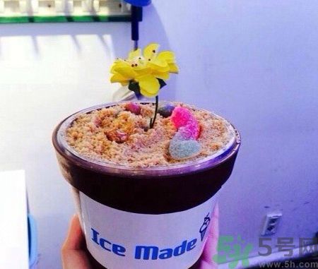 盆栽冰淇淋哪里買？盆栽冰淇淋怎么做？