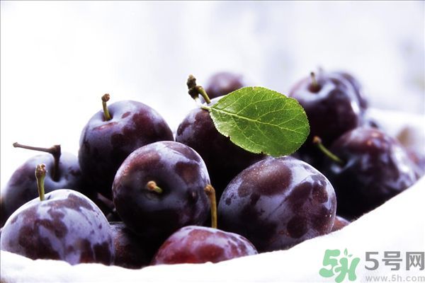 灰子和李子有什么區(qū)別？灰子的功效與禁忌