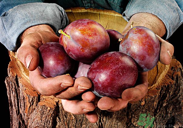 灰子和李子有什么區(qū)別？灰子的功效與禁忌