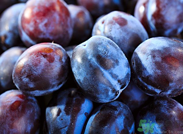 灰子和李子有什么區(qū)別？灰子的功效與禁忌