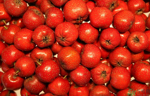 貧血可以吃山楂嗎？貧血能吃山楂嗎？