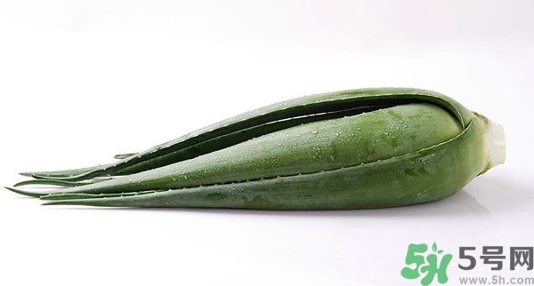 經(jīng)期可以吃蘆薈嗎？經(jīng)期吃蘆薈會肚子痛嗎？