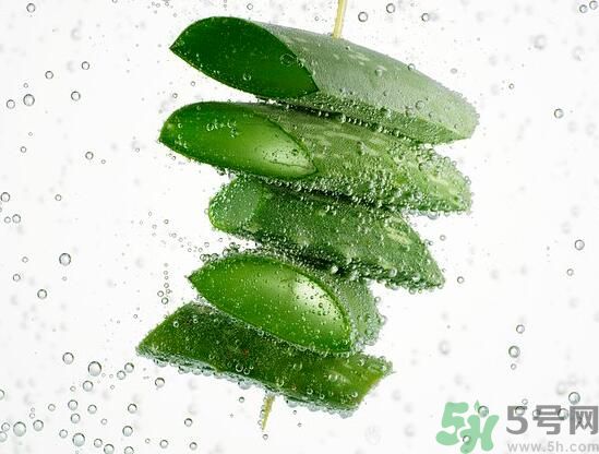 夏天吃蘆薈可以降火嗎？夏天吃蘆薈能清火嗎？