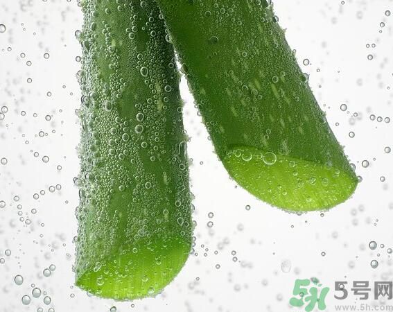 夏天吃蘆薈可以降火嗎？夏天吃蘆薈能清火嗎？