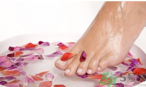 艾葉泡腳可以治痛風嗎?艾葉泡腳能治痛風嗎?