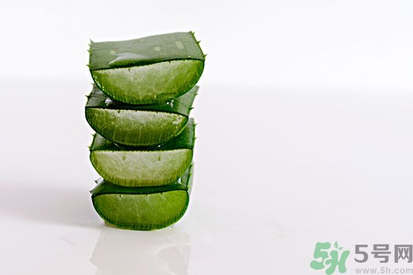 蘆薈是發(fā)物嗎？蘆薈是不是發(fā)物？