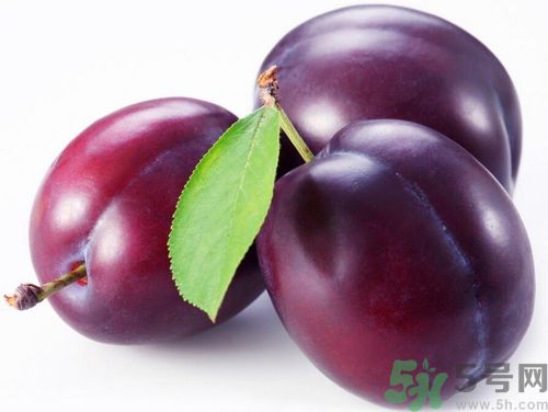 芒果可以和李子一起吃嗎？芒果和李子一起吃好嗎？