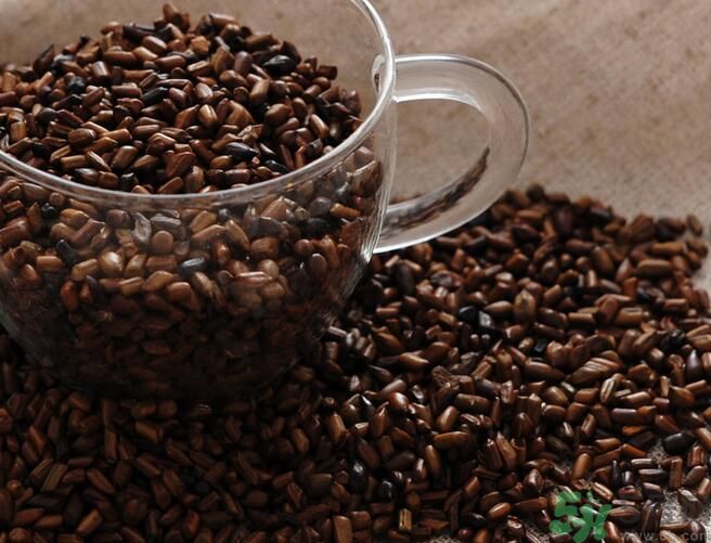 決明子泡茶喝可以減肥嗎？決明子泡茶喝有減肥效果嗎？