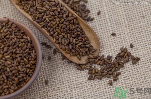 孕婦可以喝決明子茶通便嗎？孕婦通便可以喝決明子茶嗎？