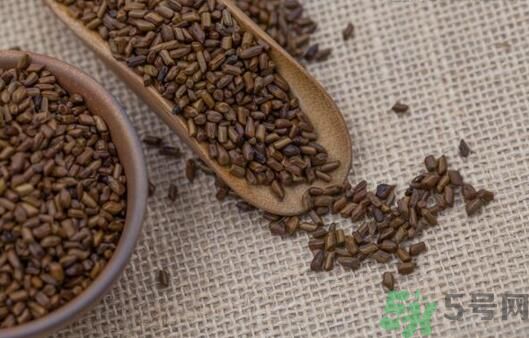 決明子泡茶加什么好？決明子和什么一起泡好？