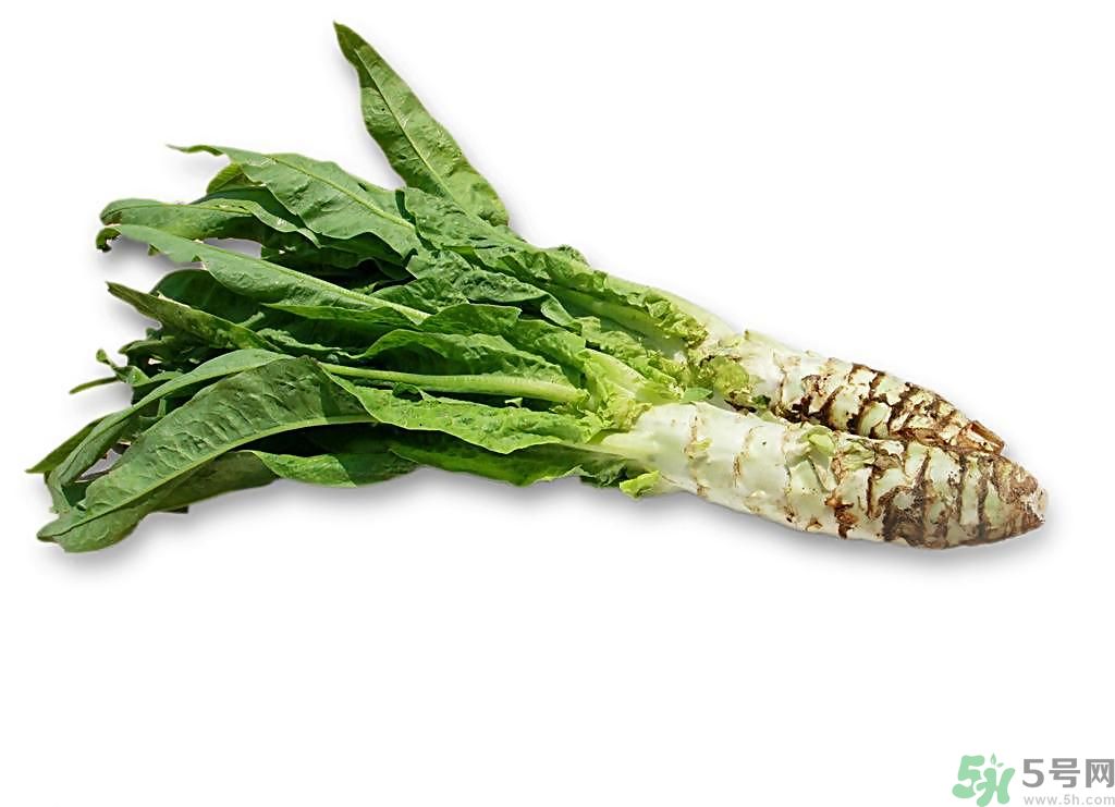 新鮮的萵筍怎么保存？削皮的萵筍怎么保存？