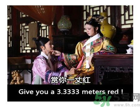 什么是蜀葵？蜀葵是一丈紅嗎？